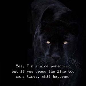 Meet your Posher, Lorenzo